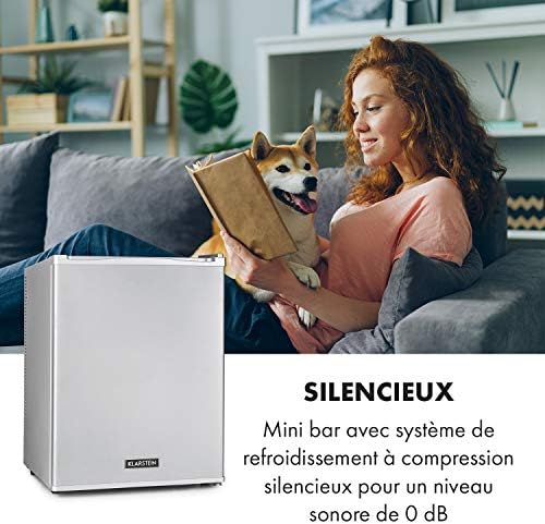 Klarstein Mini frigo de chambre 30L silencieux, réglable 5-15°C