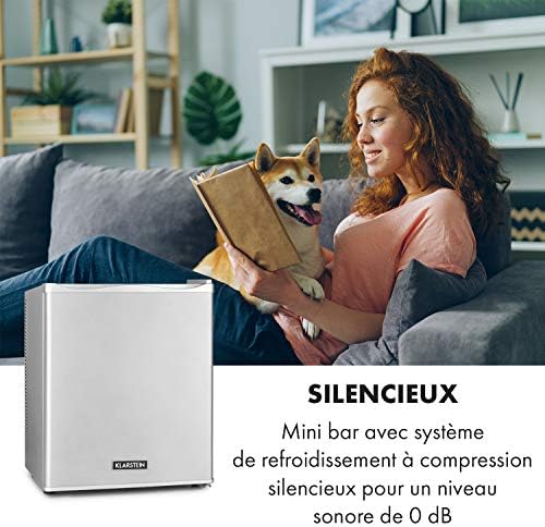 Klarstein Mini frigo de chambre 30L silencieux, réglable 5-15°C